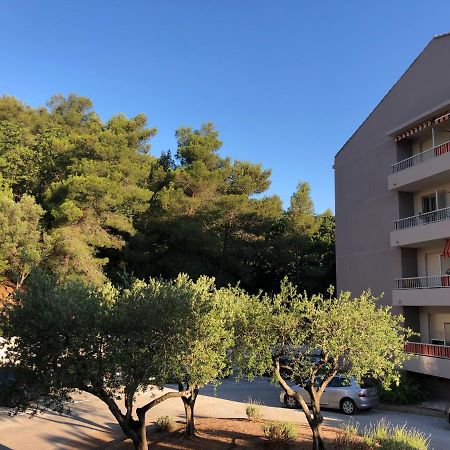 Grand Studio A Hyeres Entre Mer Et Ville エクステリア 写真