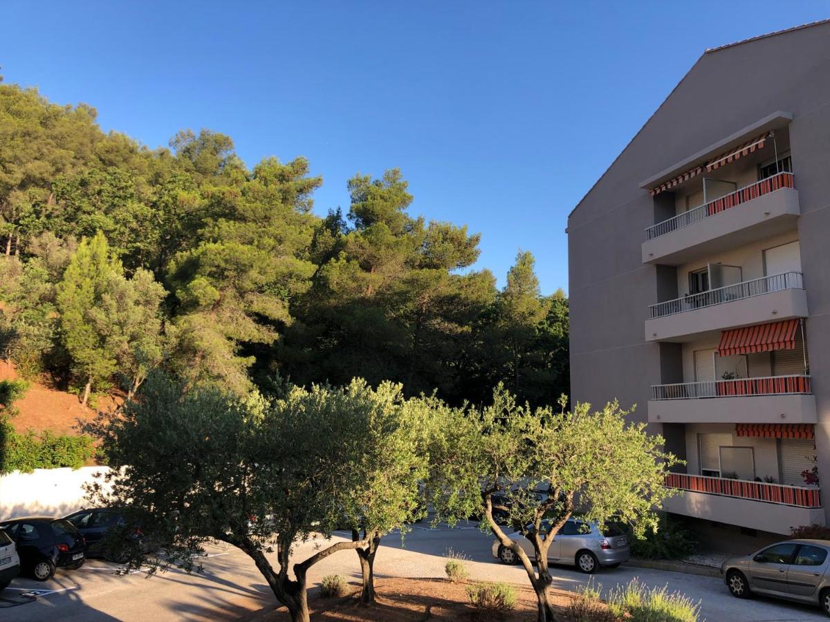 Grand Studio A Hyeres Entre Mer Et Ville エクステリア 写真