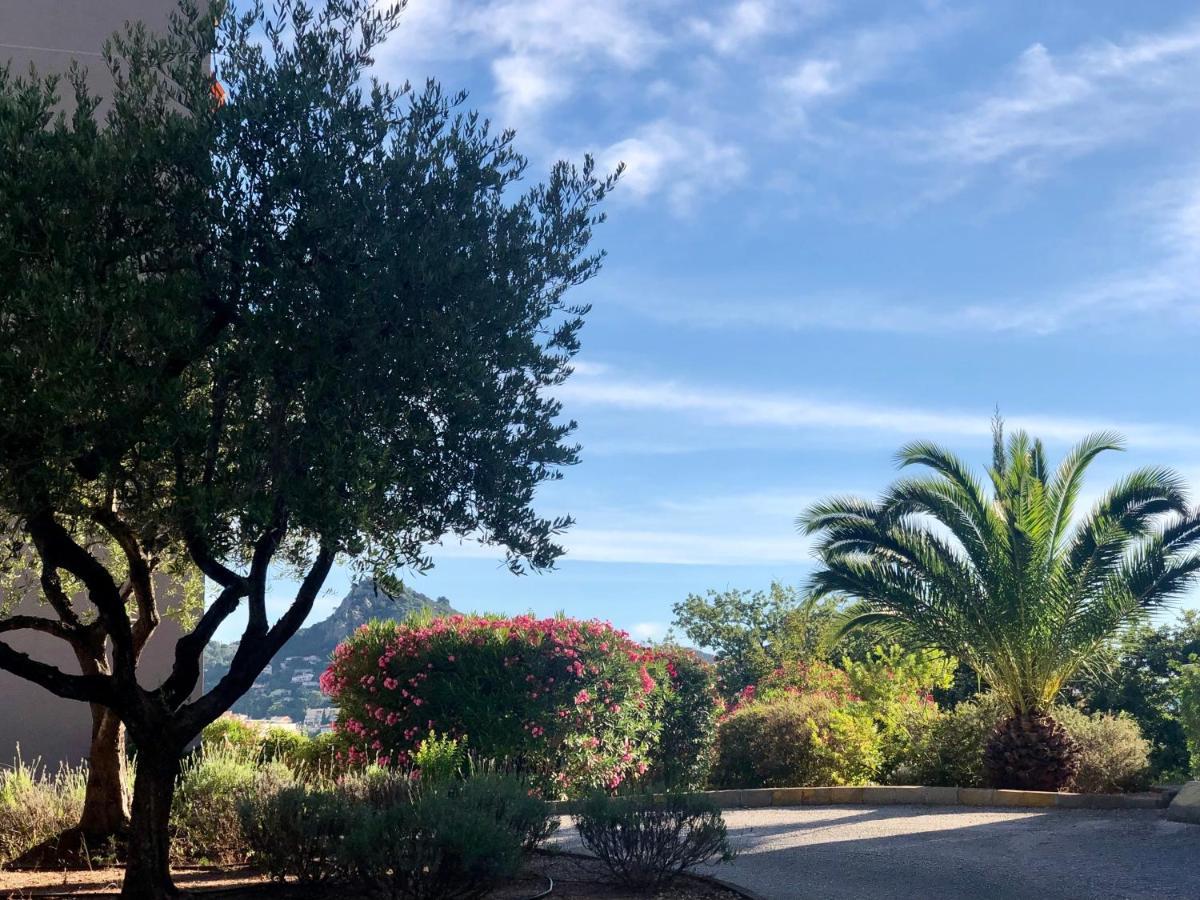 Grand Studio A Hyeres Entre Mer Et Ville エクステリア 写真