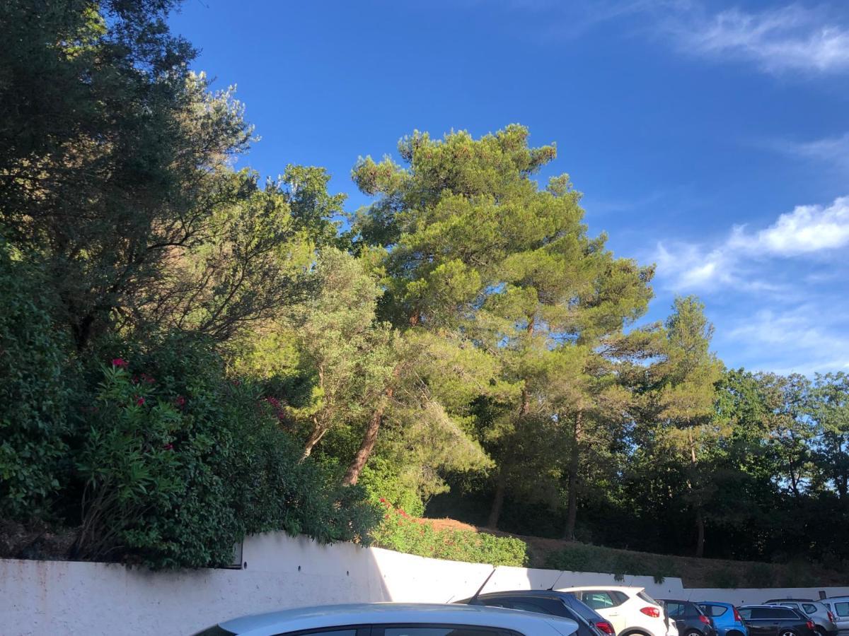 Grand Studio A Hyeres Entre Mer Et Ville エクステリア 写真
